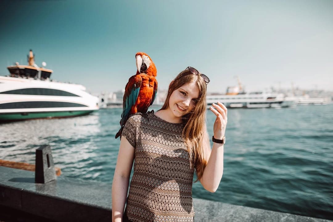 Puente de Gálata photo 2